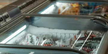 4 Alasan Freezer Nugget Lebih Membingungkan daripada Kulkas Minuman di Indomaret