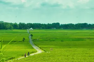 Pronosutan Kulon Progo, Tujuan Baru para Pelari dan Pencari Ketenangan