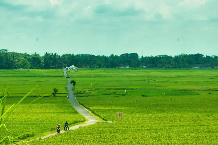 Pronosutan Kulon Progo, Tujuan Baru para Pelari dan Pencari Ketenangan