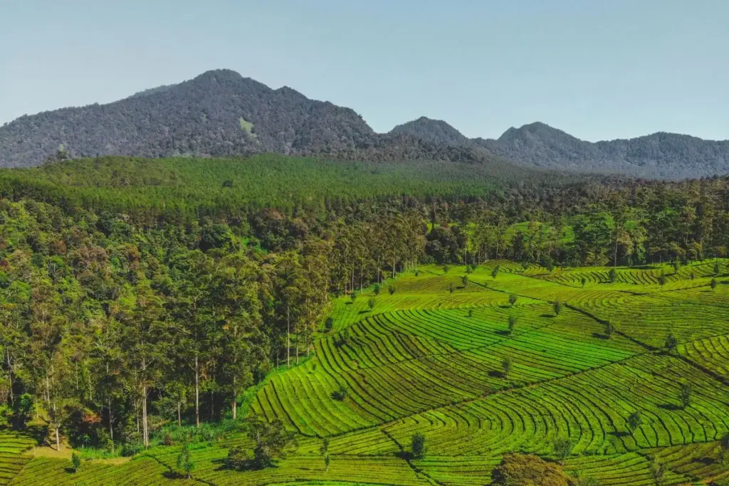 3 Kebohongan tentang Lembang yang Perlu Diluruskan