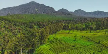 3 Kebohongan tentang Lembang yang Perlu Diluruskan