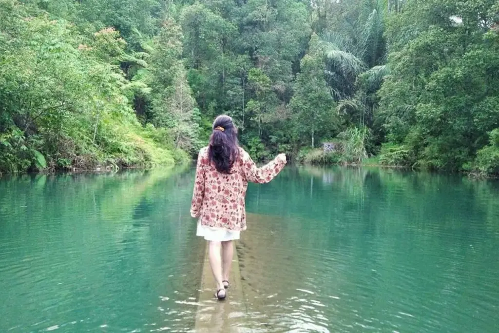 Ilustrasi Desa Sriwulan Kendal, Desa dengan Omzet Rp1,5 Miliar per Tahun (Wikimedia Commons)