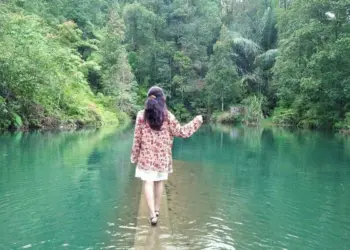 Ilustrasi Desa Sriwulan Kendal, Desa dengan Omzet Rp1,5 Miliar per Tahun (Wikimedia Commons)