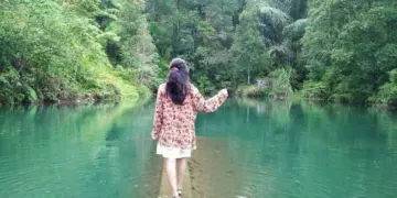 Ilustrasi Desa Sriwulan Kendal, Desa dengan Omzet Rp1,5 Miliar per Tahun (Wikimedia Commons)