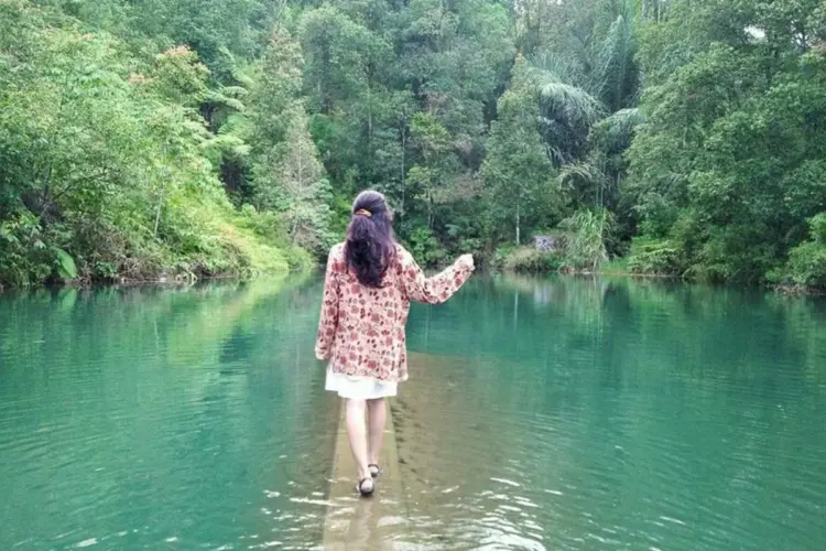 Ilustrasi Desa Sriwulan Kendal, Desa dengan Omzet Rp1,5 Miliar per Tahun (Wikimedia Commons)