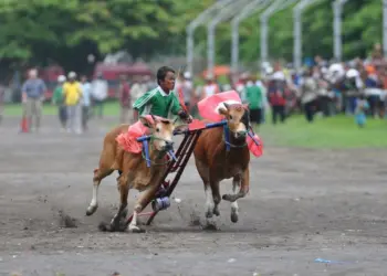 Di Lidah Orang Jawa, Kuliner Madura Enak Kecuali yang dari Sumenep MOjok.co sumatera