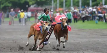 Di Lidah Orang Jawa, Kuliner Madura Enak Kecuali yang dari Sumenep MOjok.co