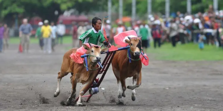 Di Lidah Orang Jawa, Kuliner Madura Enak Kecuali yang dari Sumenep MOjok.co