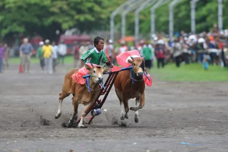 Di Lidah Orang Jawa, Kuliner Madura Enak Kecuali yang dari Sumenep MOjok.co
