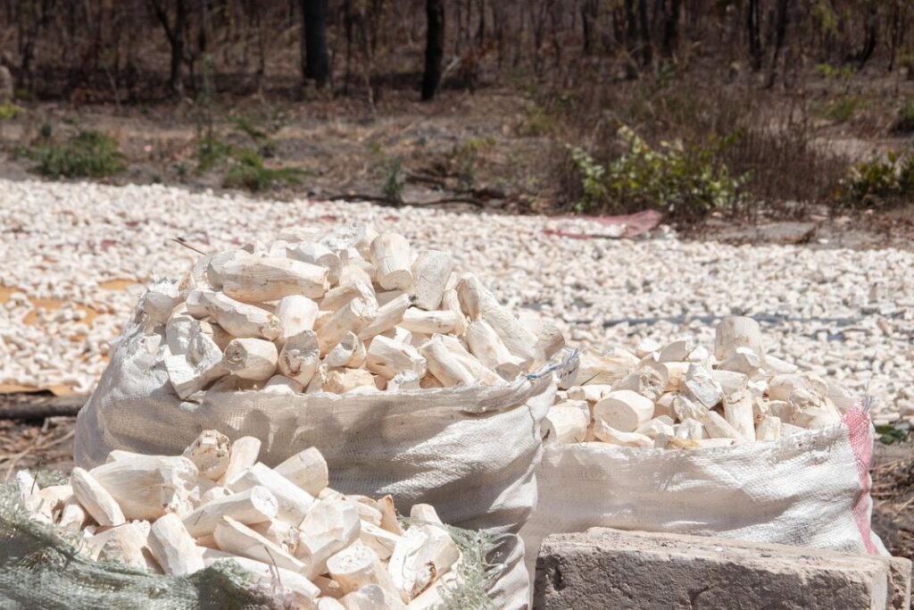 Rujak Teplak Khas Tegal Adalah Anomali bagi Warga Blora, Rujak kok Jadi Menu Sarapan, Aneh!