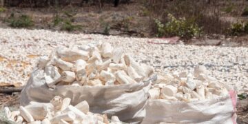 Rujak Teplak Khas Tegal Adalah Anomali bagi Warga Blora, Rujak kok Jadi Menu Sarapan, Aneh!