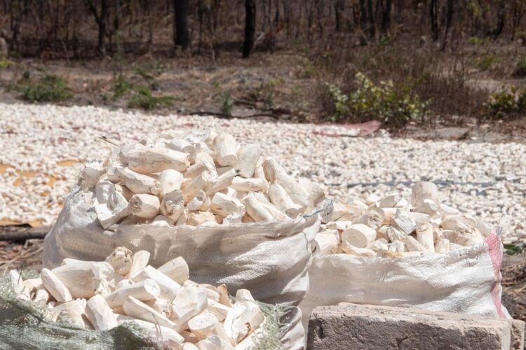 Rujak Teplak Khas Tegal Adalah Anomali bagi Warga Blora, Rujak kok Jadi Menu Sarapan, Aneh!