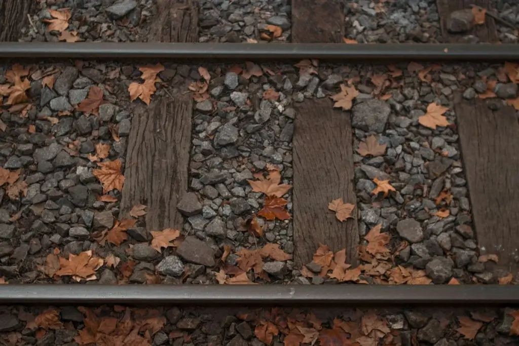 Membayangkan Jalur KA Kalisat Jember-Bondowoso Aktif Kembali, Pasti Banyak Manfaatnya Mojok.co