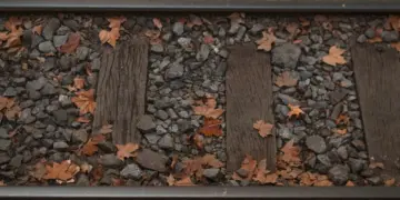 Membayangkan Jalur KA Kalisat Jember-Bondowoso Aktif Kembali, Pasti Banyak Manfaatnya Mojok.co