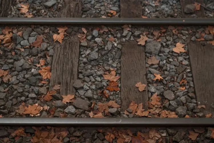 Membayangkan Jalur KA Kalisat Jember-Bondowoso Aktif Kembali, Pasti Banyak Manfaatnya Mojok.co