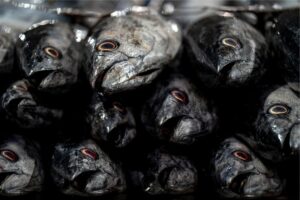 Ironi Lumajang: Dekat dengan Laut, tapi Sulit Menemukan Seafood
