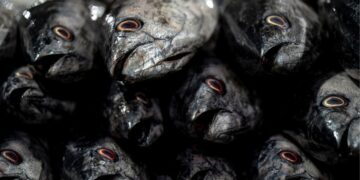 Ironi Lumajang: Dekat dengan Laut, tapi Sulit Menemukan Seafood