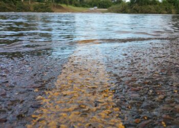 Sisi Gelap Jalan Pantura Situbondo: Gelap, Banjir, dan Jalan Berlubang Bikin Jalan Ini Begitu Gawat!