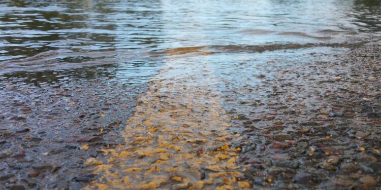 Sisi Gelap Jalan Pantura Situbondo: Gelap, Banjir, dan Jalan Berlubang Bikin Jalan Ini Begitu Gawat!