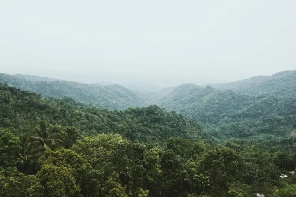 Kulon Progo Cocok untuk Orang Mumet karena Ada 6 Tempat Ajaib Ini Mojok.co