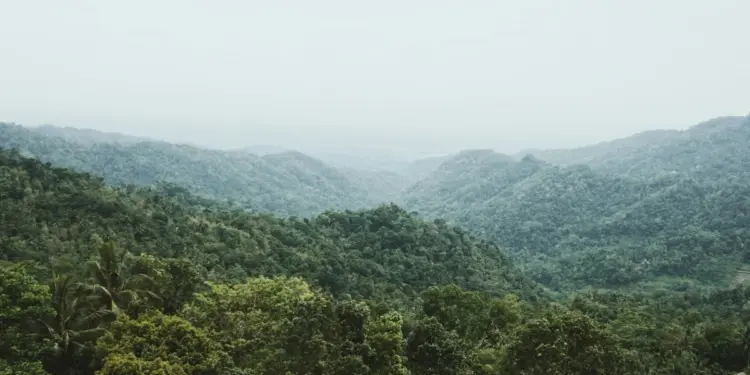 Kulon Progo Cocok untuk Orang Mumet karena Ada 6 Tempat Ajaib Ini Mojok.co