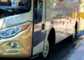 Kapok Naik Bus Harapan Jaya Surabaya-Blitar, Niat Bepergian Nyaman Berakhir Berdesakan karena Sopir Maruk Angkut Penumpang Sebanyak-banyaknya Mojok.co