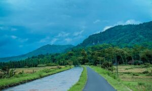 Kulon Progo Terkesan Santai karena Warlok Tidak Punya Banyak Pilihan Hidup, Bukan karena Menganut Slow Living