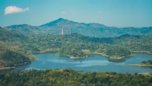 Growol, Makanan Khas Kulon Progo yang Sebaiknya Dipikirkan Dua Kali kalau Mau Dijadikan Oleh-Oleh