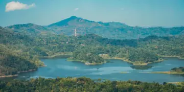 Growol, Makanan Khas Kulon Progo yang Sebaiknya Dipikirkan Dua Kali kalau Mau Dijadikan Oleh-Oleh Mojok.co