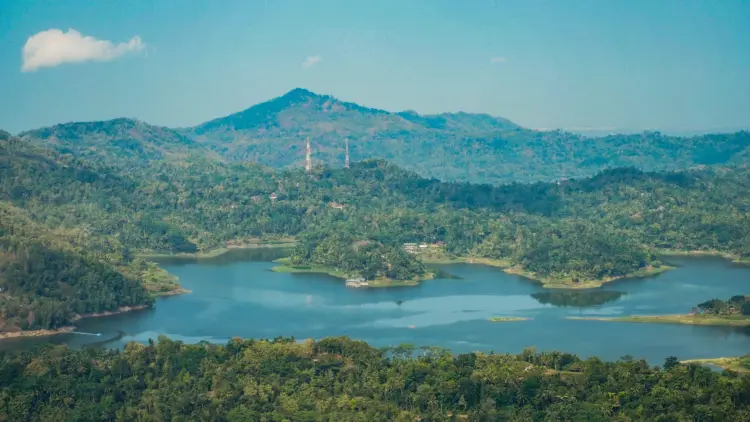 Growol, Makanan Khas Kulon Progo yang Sebaiknya Dipikirkan Dua Kali kalau Mau Dijadikan Oleh-Oleh Mojok.co