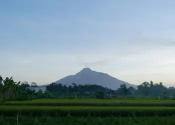 Pengalaman Tinggal di Ngaglik Sleman Tak Melulu Enak seperti Kata Orang Mojok.co