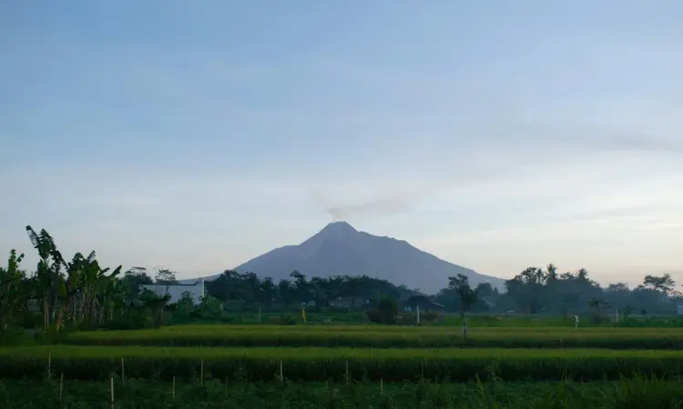Pengalaman Tinggal di Ngaglik Sleman Tak Melulu Enak seperti Kata Orang Mojok.co