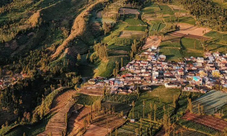 Temanggung yang Terkenal Nyaman Malah Bikin Orang Jombang Nggak Betah Mojok.co