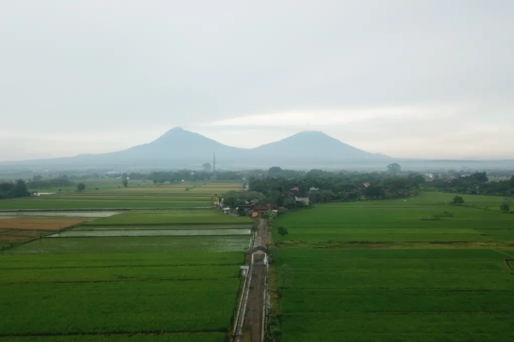 Klaten Tulang Punggung dan Masa Depan Dapur Indonesia