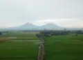 Klaten Tulang Punggung dan Masa Depan Dapur Indonesia