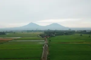 Klaten: Bukan Sekadar Kota untuk Mampir Menikmati Sop Ayam, tapi Tulang Punggung dan “Dapur” Masa Depan Indonesia