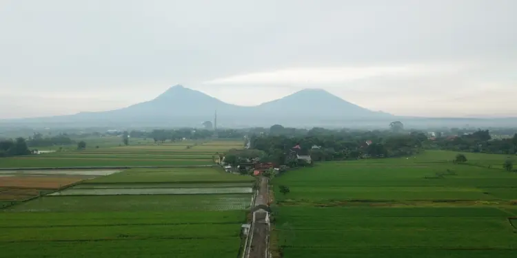 Klaten Tulang Punggung dan Masa Depan Dapur Indonesia