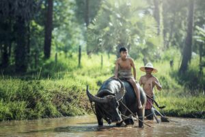 Jadi Petani Itu Blas Nggak Ada Slow Living-nya, Jangan Ketipu Konten Sosmed!