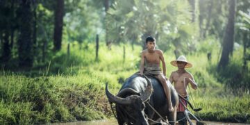 Jadi Petani Itu Blas Nggak Ada Slow Living-nya, Jangan Ketipu Konten Sosmed!