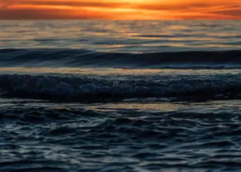 Pantai KIW Edge, Pantai Terbaik Semarang yang Sebenarnya Bekas Tambak di Kawasan Pabrik