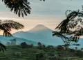 Slow Living di Gamping Itu Nyata, Asal Kamu Tidak Jadi Warga Lokal Mojok.co