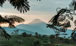 Slow Living di Gamping Itu Nyata, Asal Kamu Tidak Jadi Warga Lokalnya