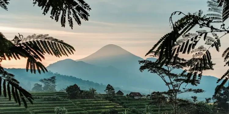 Slow Living di Gamping Itu Nyata, Asal Kamu Tidak Jadi Warga Lokal Mojok.co