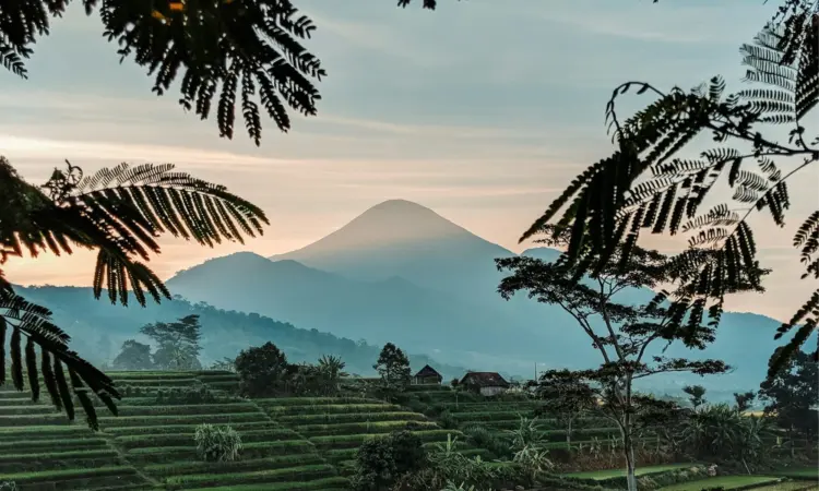 Slow Living di Gamping Itu Nyata, Asal Kamu Tidak Jadi Warga Lokal Mojok.co