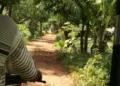 Jalan Ngluwar Magelang yang Bobrok Adalah Area Paling Cocok untuk Simulasi Ujian SIM  Mojok.co