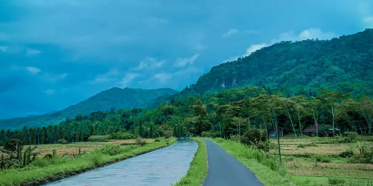 Sentolo Kulon Progo Banyak Berubah dan Warlok Kebagian Jadi Penonton Aja Mojok.co