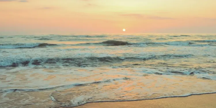 Keindahan Pantai Nanggelan Jember Hanya Bisa Dinikmati oleh Mereka yang Rela Repot, Wisatawan Manja Minggir Dulu Mojok.co