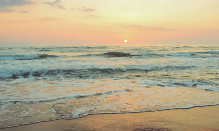 Keindahan Pantai Nanggelan Jember Hanya Bisa Dinikmati oleh Mereka yang Rela Repot, Wisatawan Manja Minggir Dulu Mojok.co