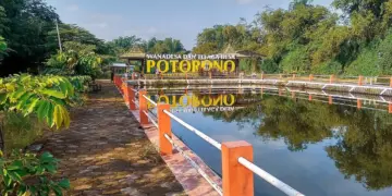 Saatnya Warga Bantul Berbangga dengan Embung Potorono yang Bisa Membuat Warga Sleman Iri