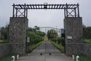 Makam Kembang Kuning, Solusi Healing di Tengah Keterbatasan Lahan Surabaya yang Bikin Pening